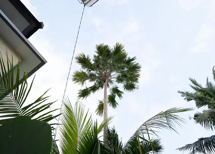 Bangbang Of Artist Guest house